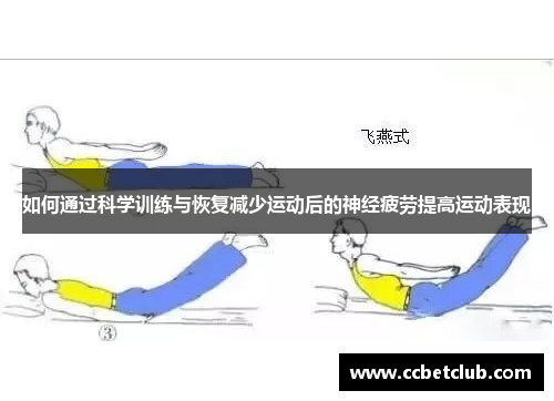 如何通过科学训练与恢复减少运动后的神经疲劳提高运动表现