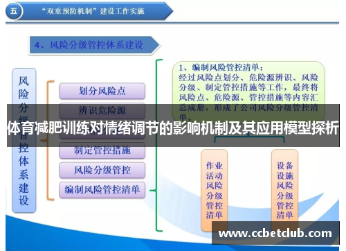体育减肥训练对情绪调节的影响机制及其应用模型探析